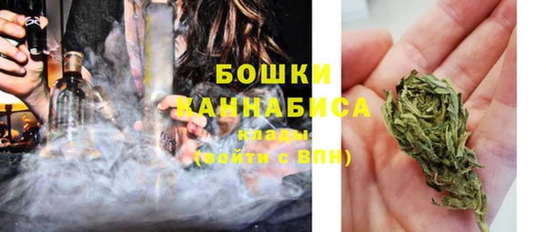 spice Лиски