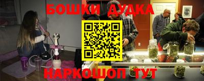 индика Беслан