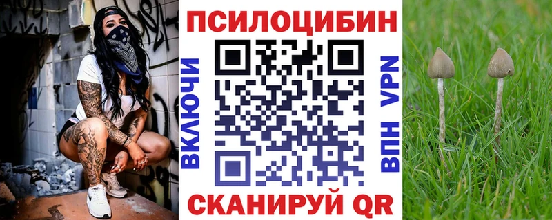 KRAKEN онион  Шахты  Псилоцибиновые грибы мухоморы 