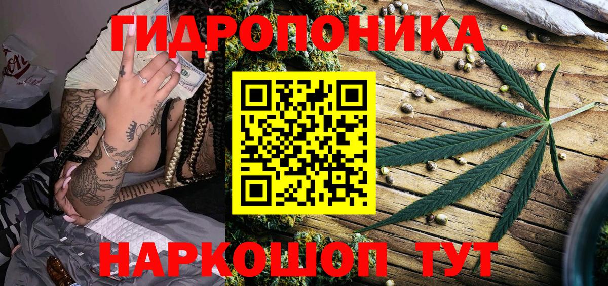 Шишки марихуана OG Kush Шахты
